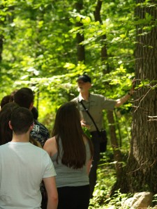 Charles Saulnier, Friends of the Fells Board member discusses the origins of the Hickory-Oak Forest...