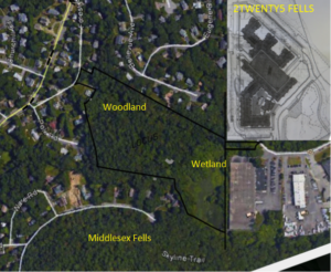 Proposed site outlined in black. The wetlands in Winchester borders on the Middlesex Fells Reservation near Skyline Trail in the Bear Hill area.