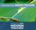 Discover the Fells’ Hidden Treasure: the 90mm Meadow!