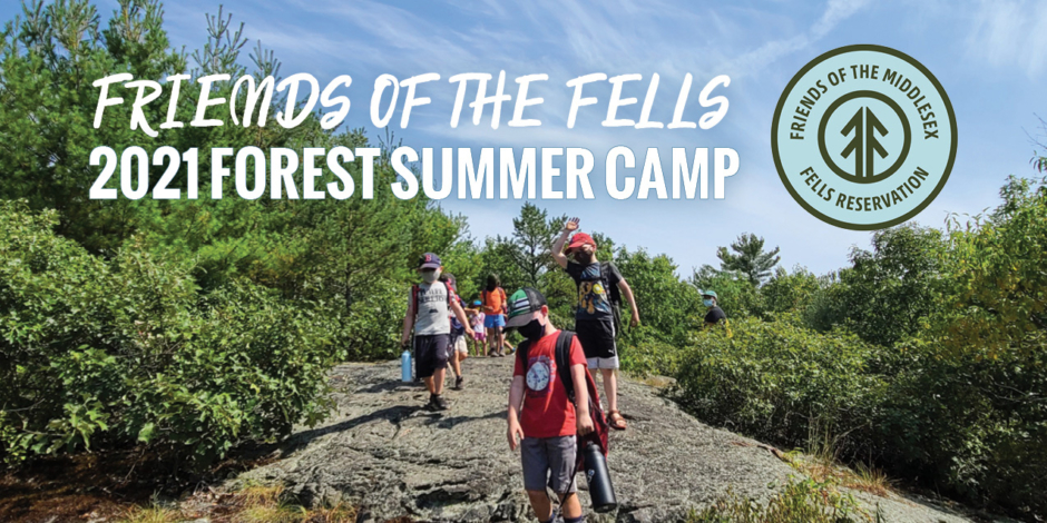 Forest Camp – Information for Parents and Caregivers