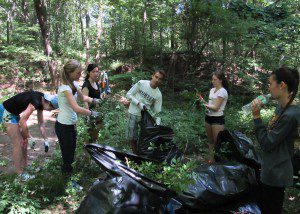 Tufts University students clearing invasive Burning Bush from Virginia Wood