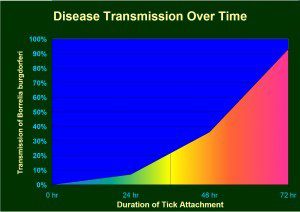 Lyme Disease Graph