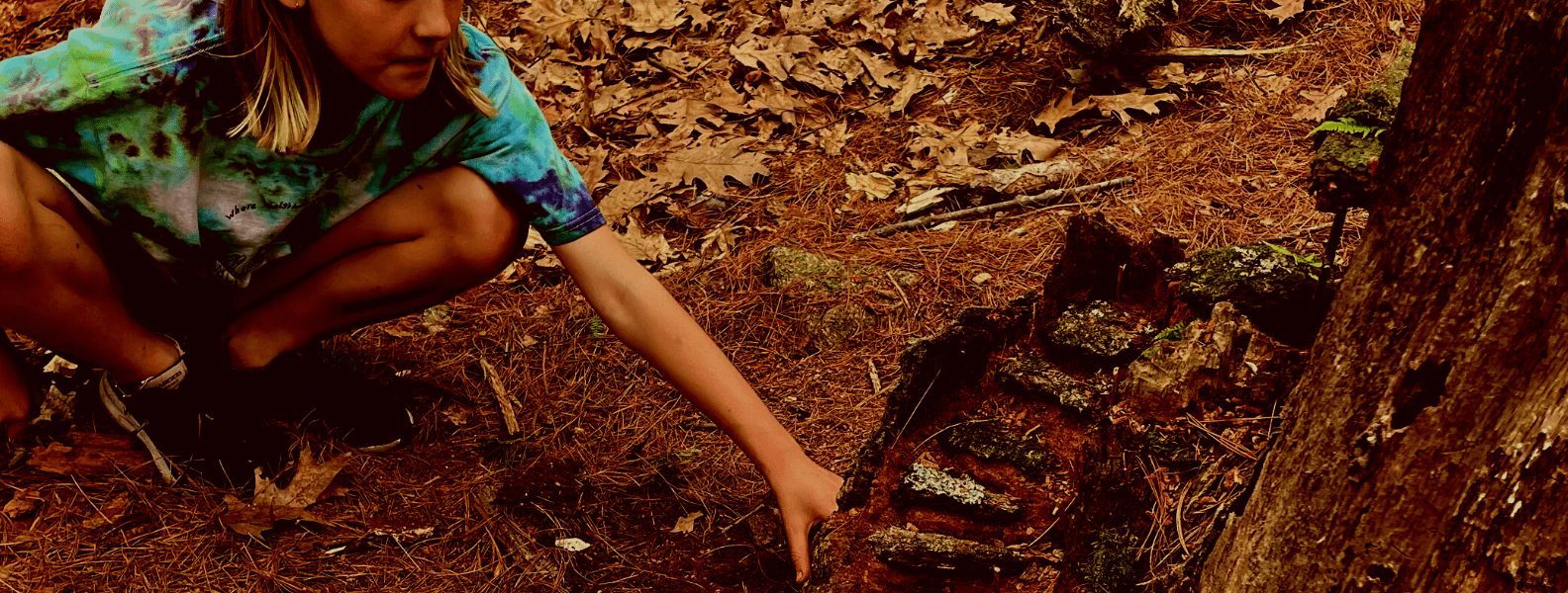 interior Fells Forest Camp: “Joyful, proud, covered in dirt”￼ banner image