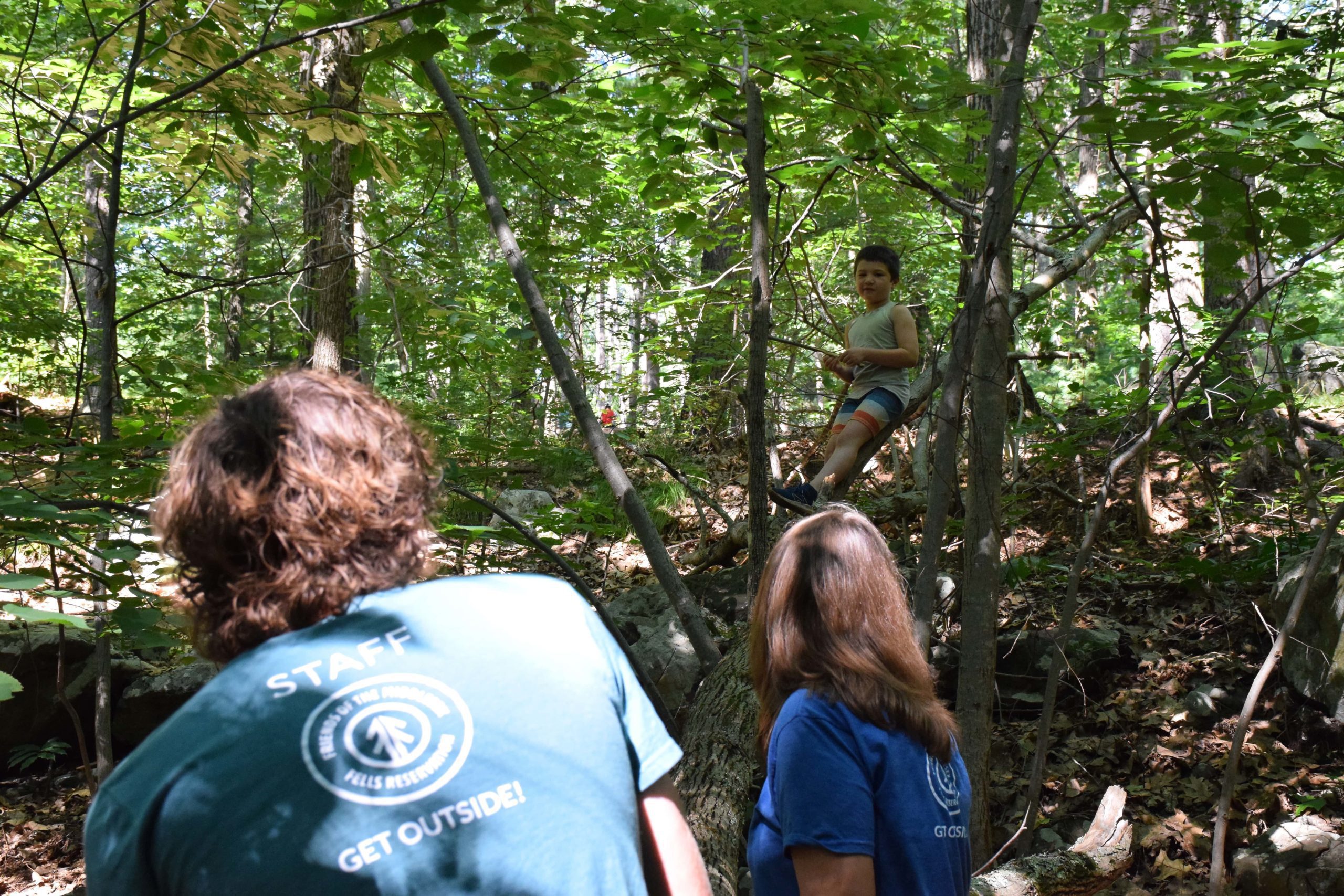 interior Unbound curiosity at the Fells Forest Camp banner image