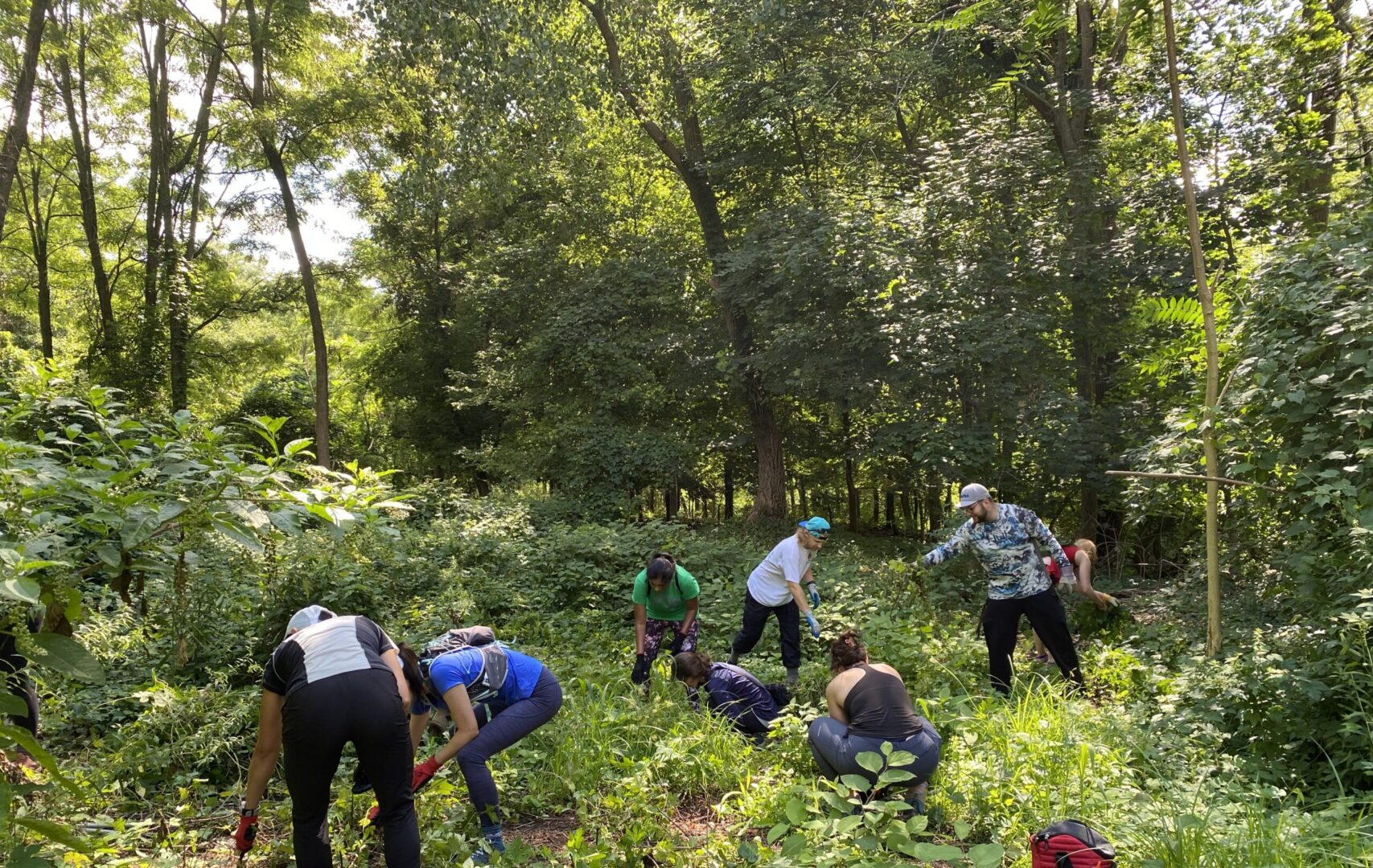 interior Our Vision & Impact banner image