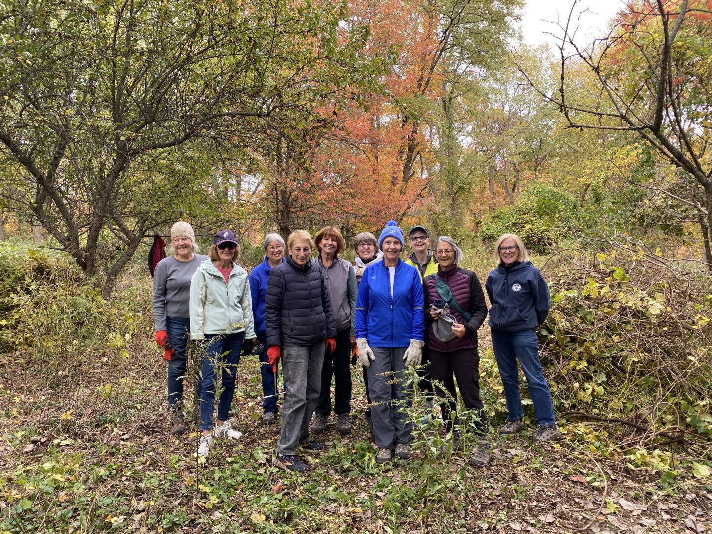 interior Notes From the Field – Fall 2025 banner image